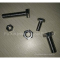 Stainless Steel 316 Bolt and Nut